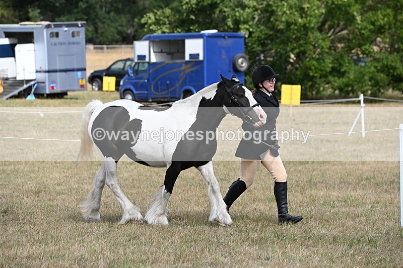 WJ6_6479 - Class 20 In-hand Cob