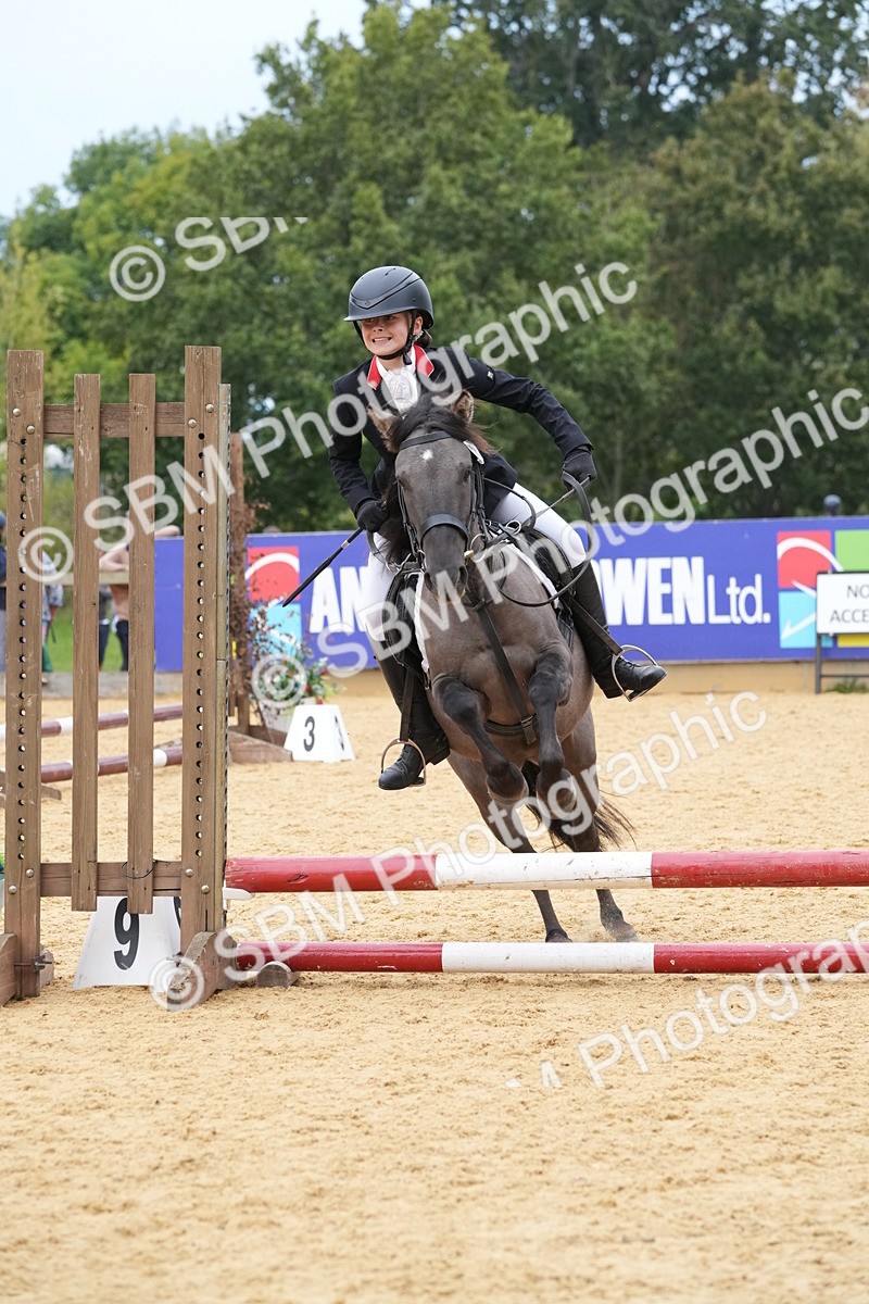 SBM_71744 - J3 - Mini Tour Junior Pony 40cm Championship