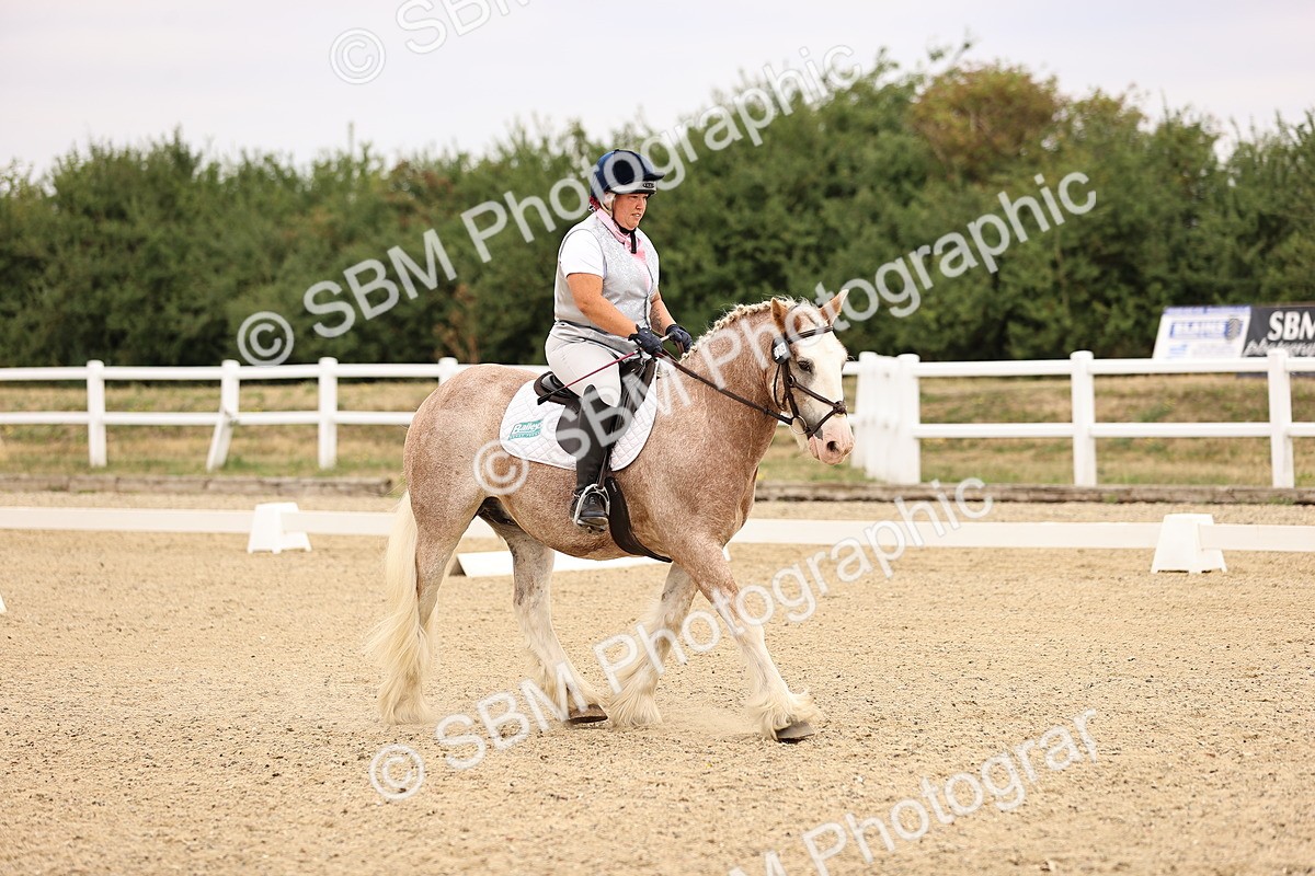 SBM_006420 - Intro 3 - 9.46-10.46