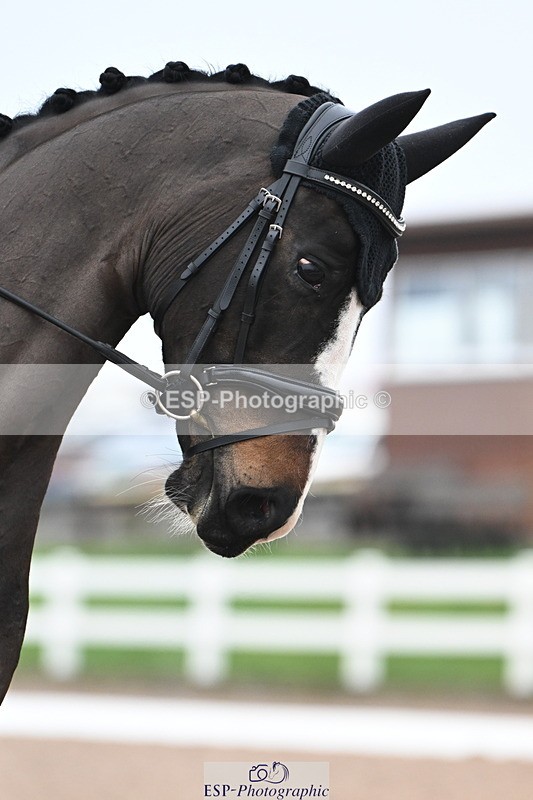 240217A-114155-02400 - 161-Katie.Warner-Active.Nuvalari