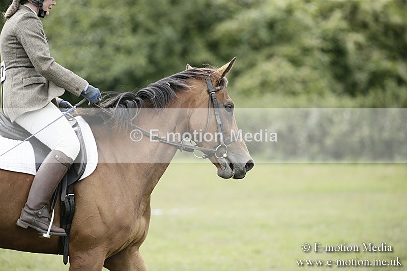 BVR080918 207 - BVRC Novice Dressage & CR 08/09/18