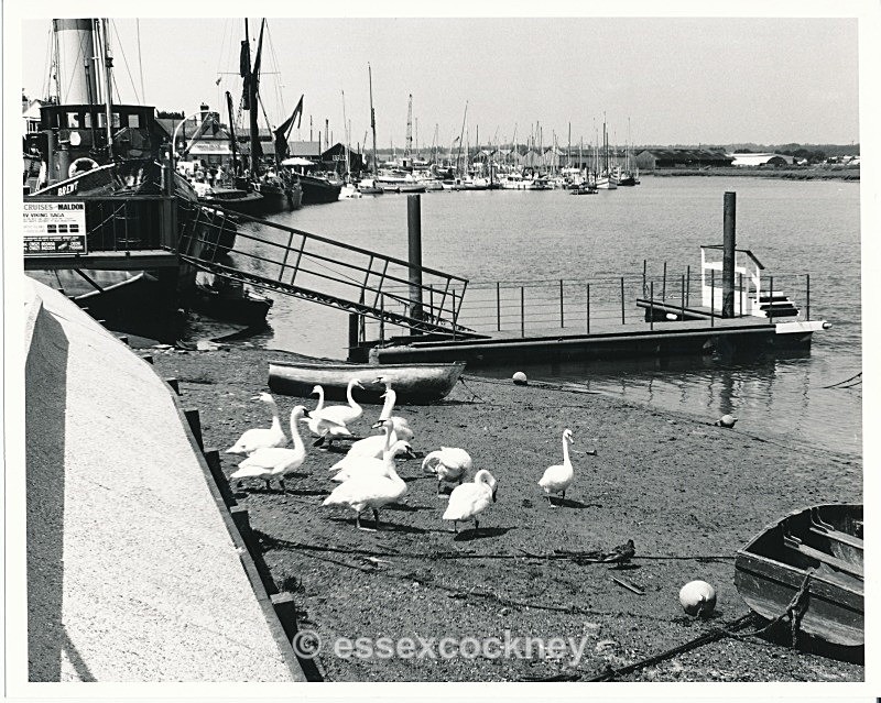  - Maldon Essex