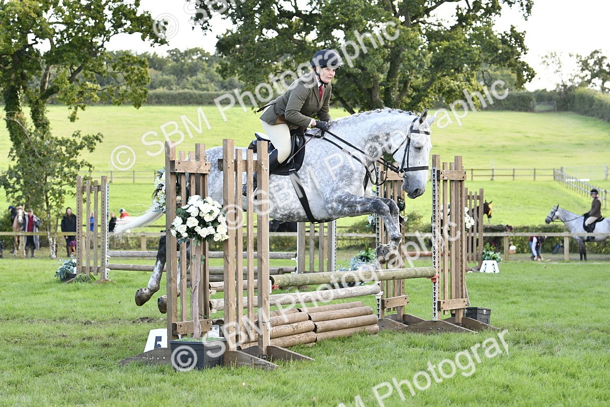SBM_52164 - S35 - Working Hunter & Working Show Horse