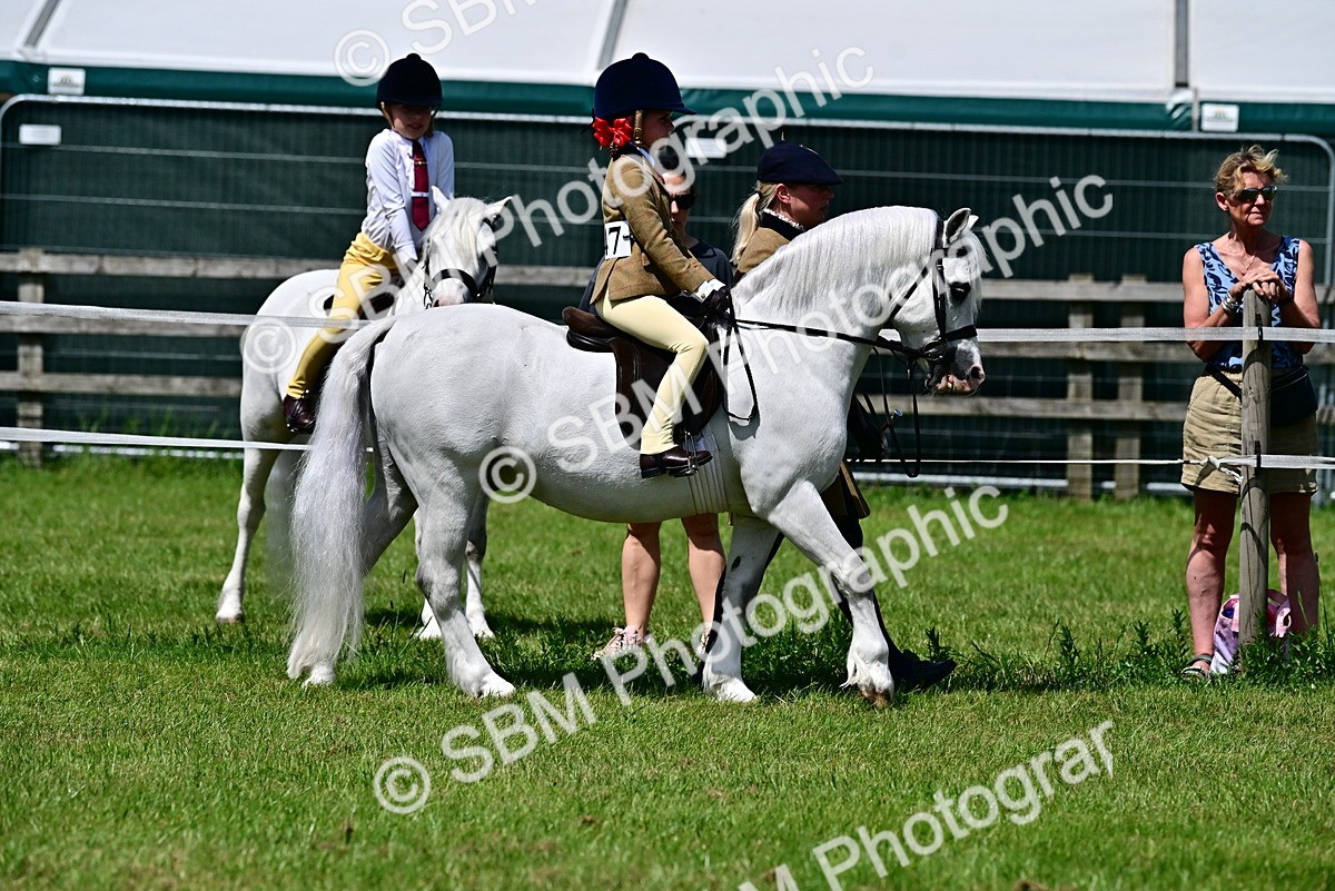 SBM_05736 - Class 59-60 - TSR M&M  Lear Rein and First Ridden Amateur of the year