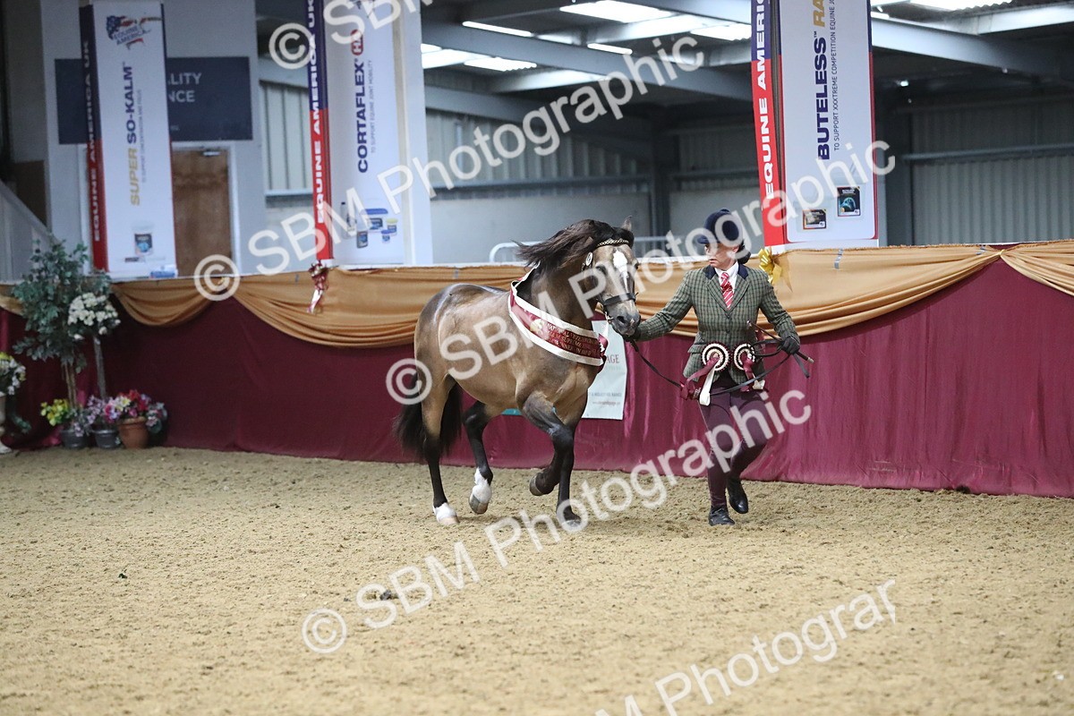 SBM_15454 - Class 501 M&M IH Supreme Final