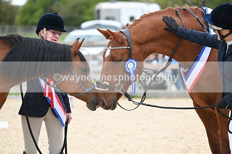 WJ7_2002 - Class 1 & Champs