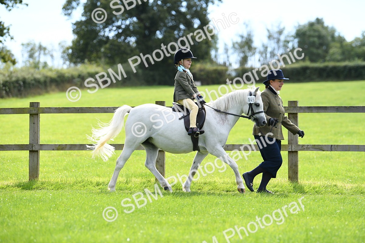 SBM_42484 - S20 - Lead Rein Mountain & Moorland Pony