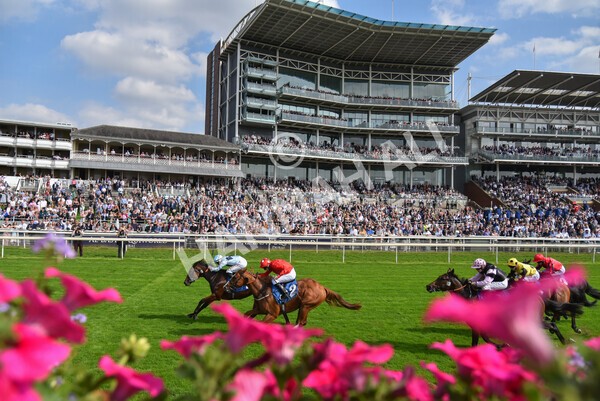 yr05092021r1-37 - Race 1 2.10pm IRE-Incentive It Pays To Buy Irish ebfstallions.com Novice Stakes