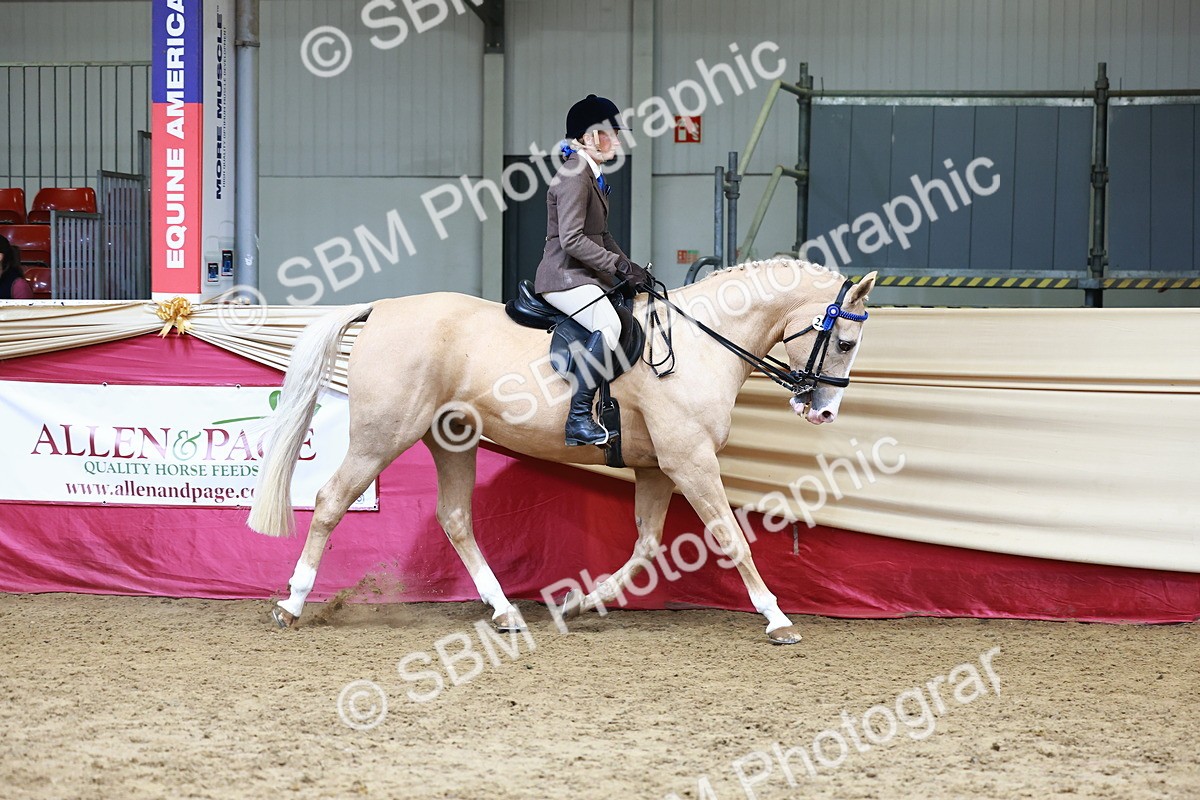 SBM_23686 - Class 905 - Supreme Final - Ridden Veteran