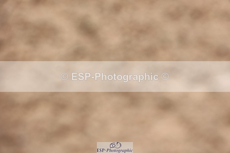 240621A-131404-01011 - Cls 15 BD Music Adv Medium