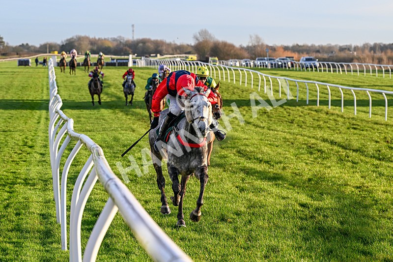 161225-Race 5-Somebodycomegether-8880 - Race 5