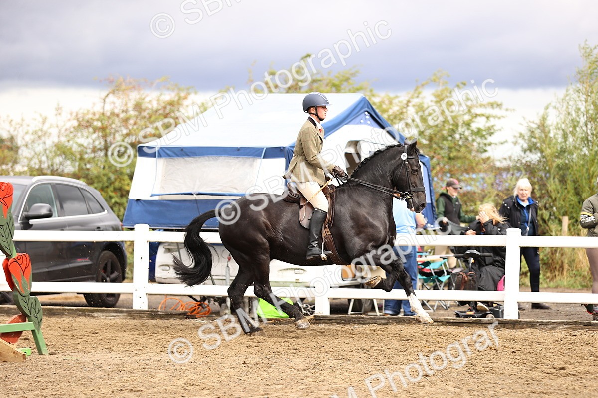 SBM_00576 - Class 53 - Ridden Competition Horse Pony