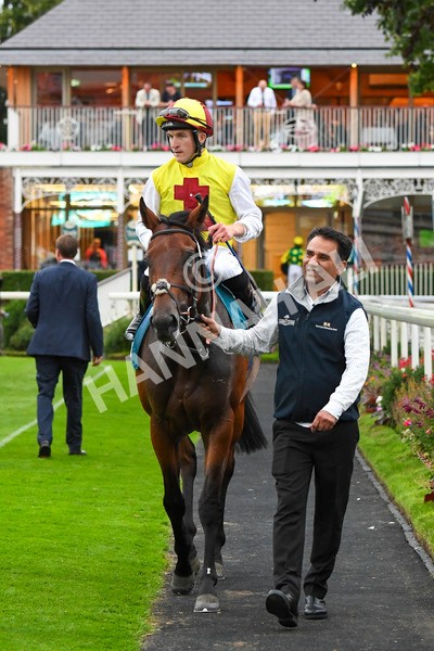 280723-Race 7-Knebworth-0824 - Race 7 8.20pm Sky Bet Go-Racing-In-Yorkshire Summer Festival Handicap