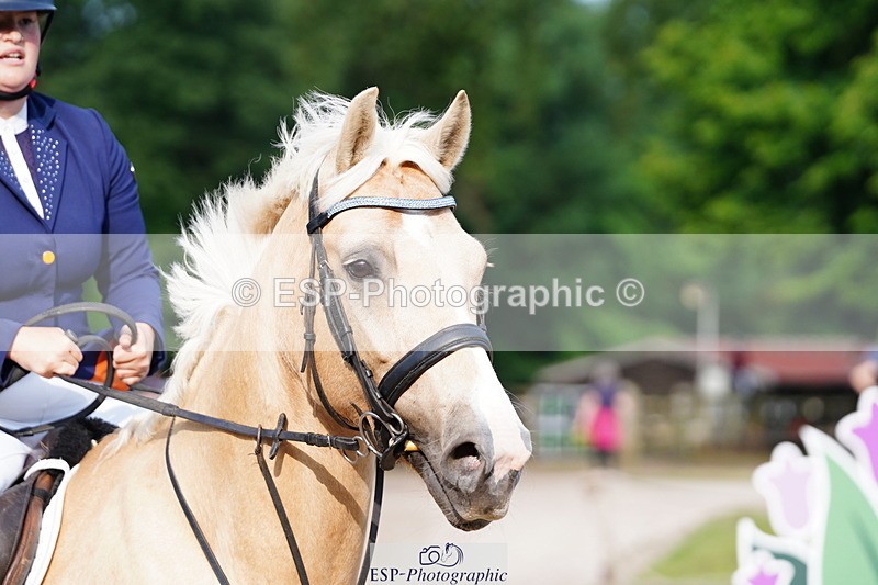 250615A-080920-09557 - Class 42 85cm Amateur Qualifer