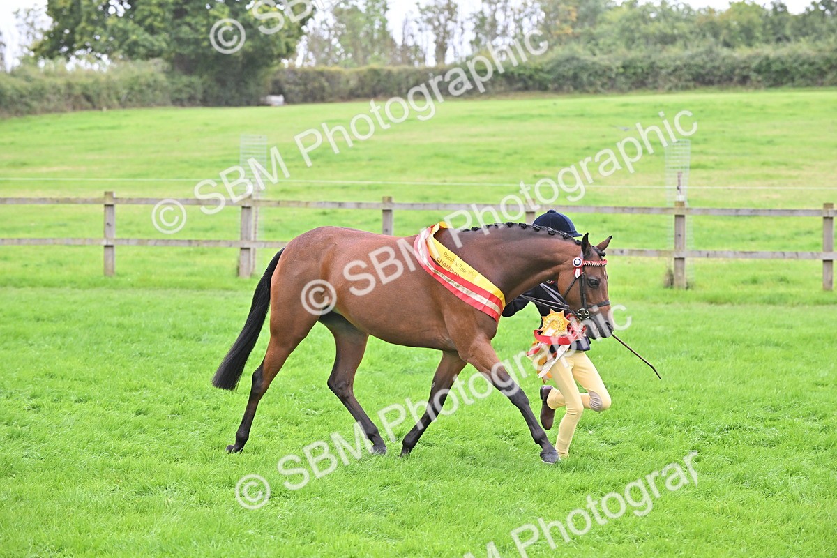 SBM_65062 - In Hand Pony & Younstock Supreme Championship
