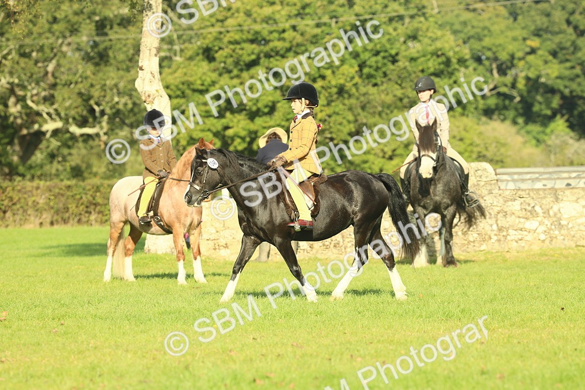 SBM_59183 - S38 - Starters Ridden Showing