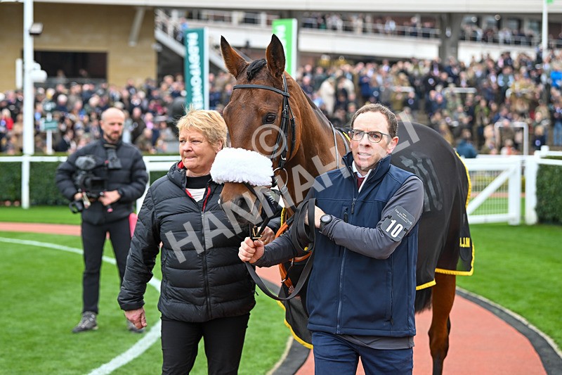 161124-Race 2-Paddock-Read To Return-9455 - Race 2