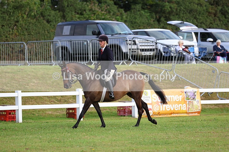 3E7A7801 - Class 1: Rising Star Small Hack/Riding Horses