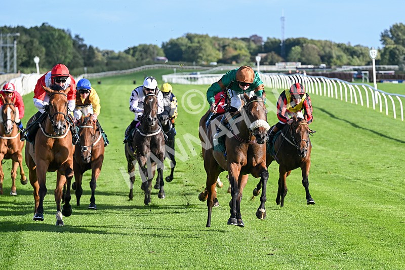 080926-Race 7-Military Girl-3323 - Race 7 5.21pm RMG Proudly Supports Teenage Cancer Trust Handicap
