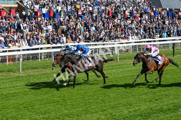 160525-Race 4-Rebels Romance-6711 - Race 4 3.45pm Boodles Yorkshire Cup Stakes