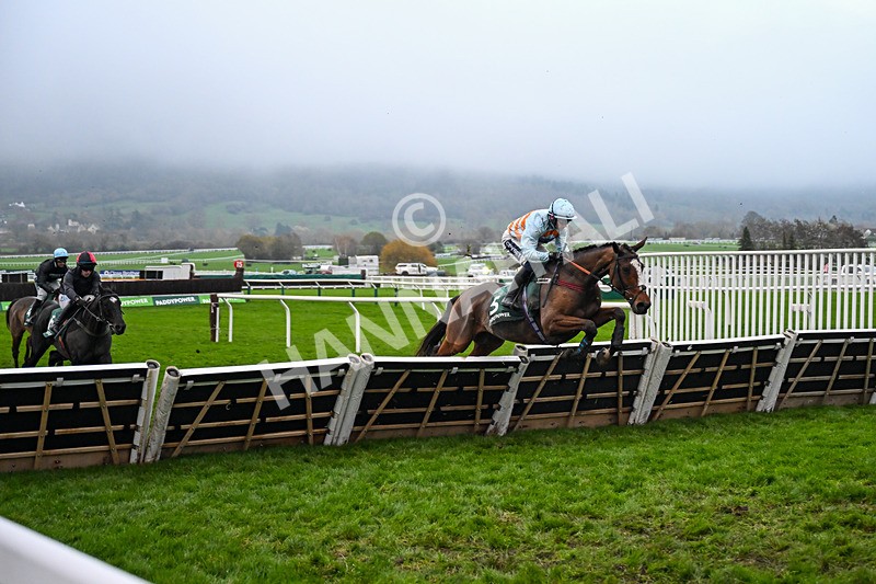 151125-Race 6-Royal Rambler-4108 - Race 6