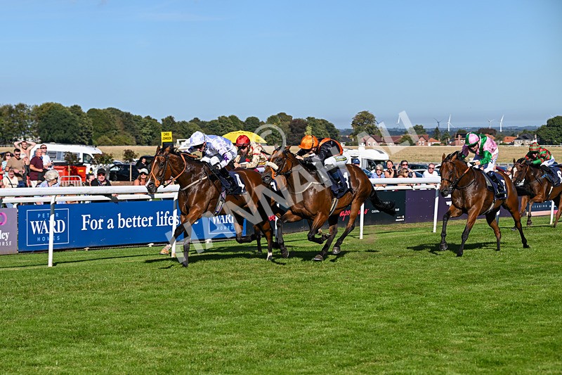 220926-Race 4-Toca Madera-4013 - Race 4 3.15pm Eddie And Violet Smith Conditions Stakes