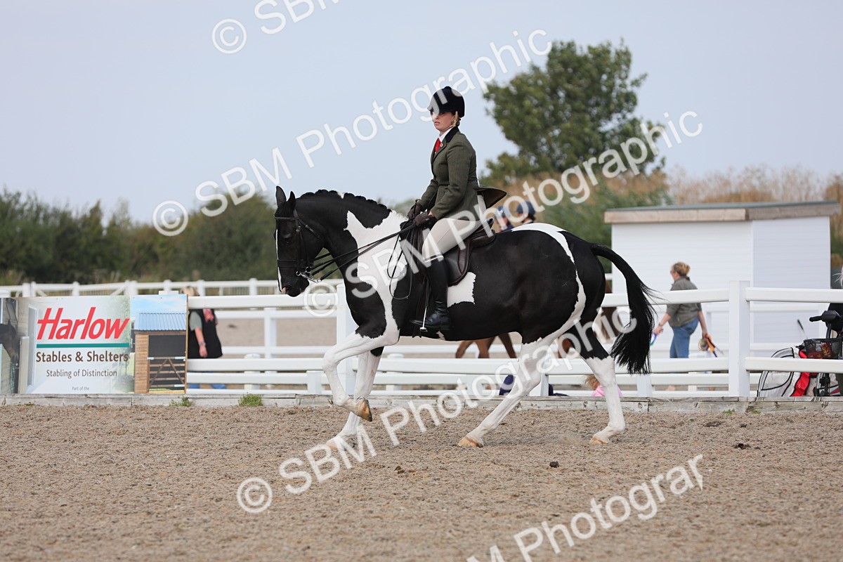 SBM_13475 - Class 308 Ridden Coloured Horse