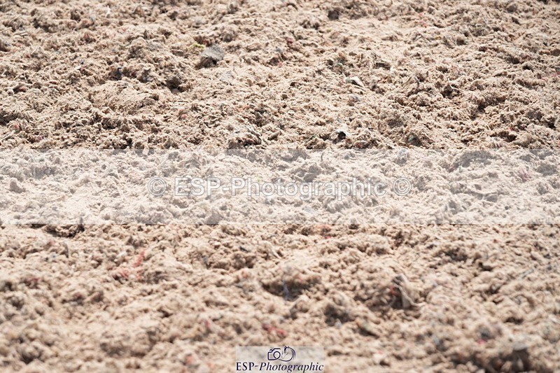 250815-134036-01244 - 1.30pm Presentations