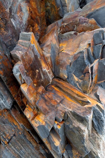  - Detail in Landscape