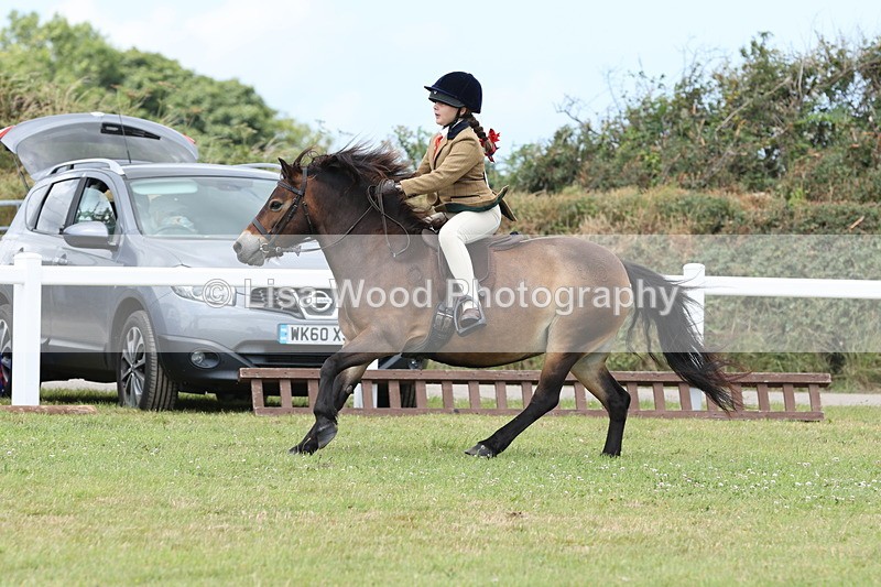 JPP_1934 - Class 18: Tiny Tots Working Hunter Pony