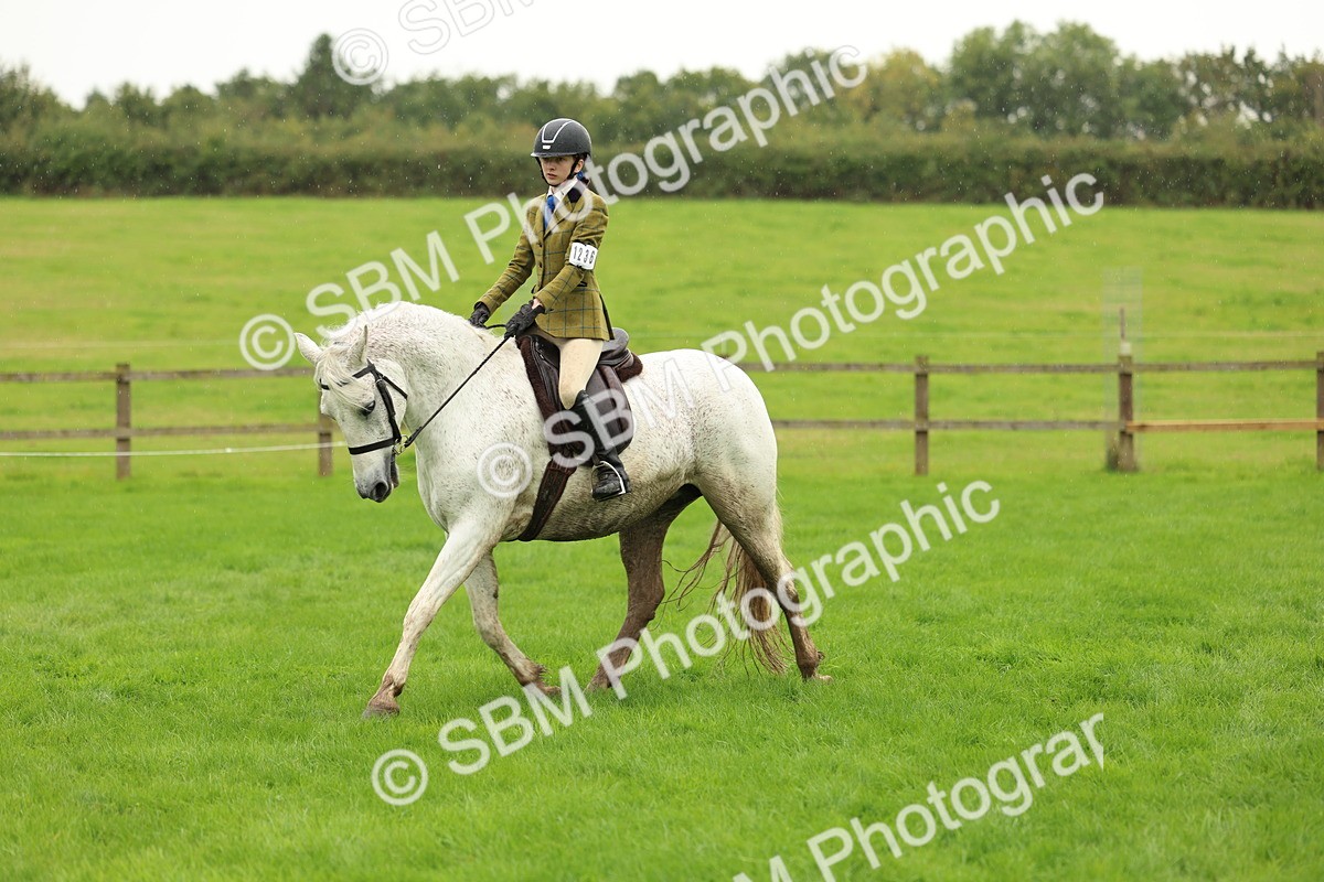 1I0A1458 - S32 - Mountain & Moorland Working Hunter Pony