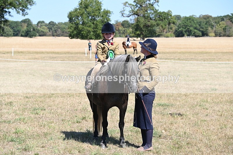 WJ6_8160 - Class 36 Lead Rein