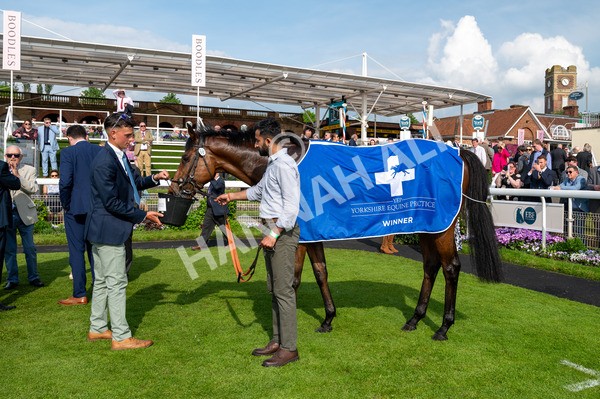 170524-Race 6-Riot-9085 - Race 6 4.45pm Yorkshire Equine Practice Handicap