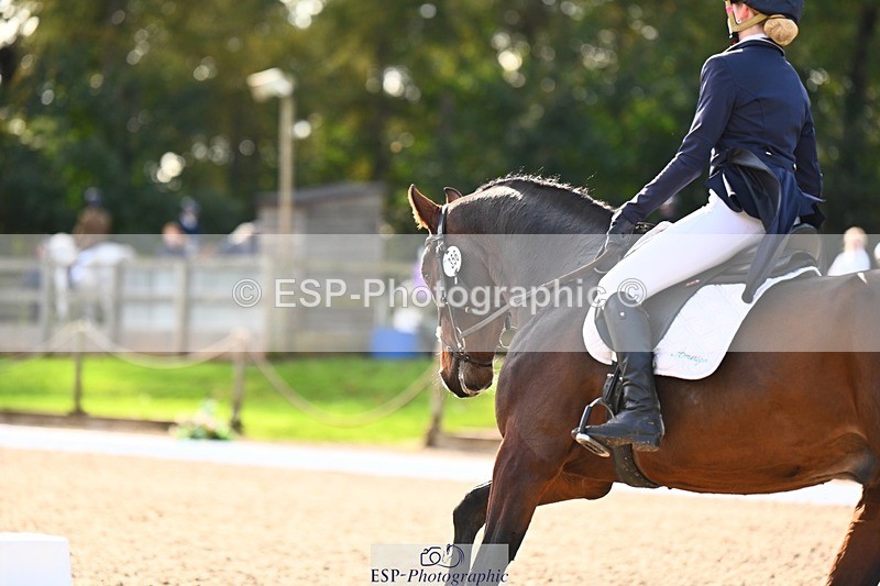 231021-142035-17813 - 356-KASAGRANDE.VR-Gemma.Watts-DR