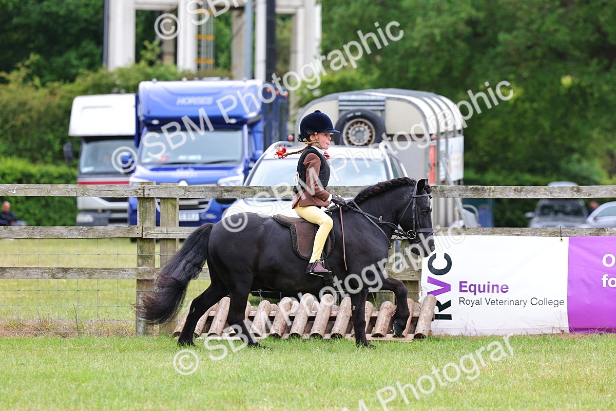 SBM_09698 - Class 44-45 - LIHS BSPS Open Nursery and Cradle Stakes