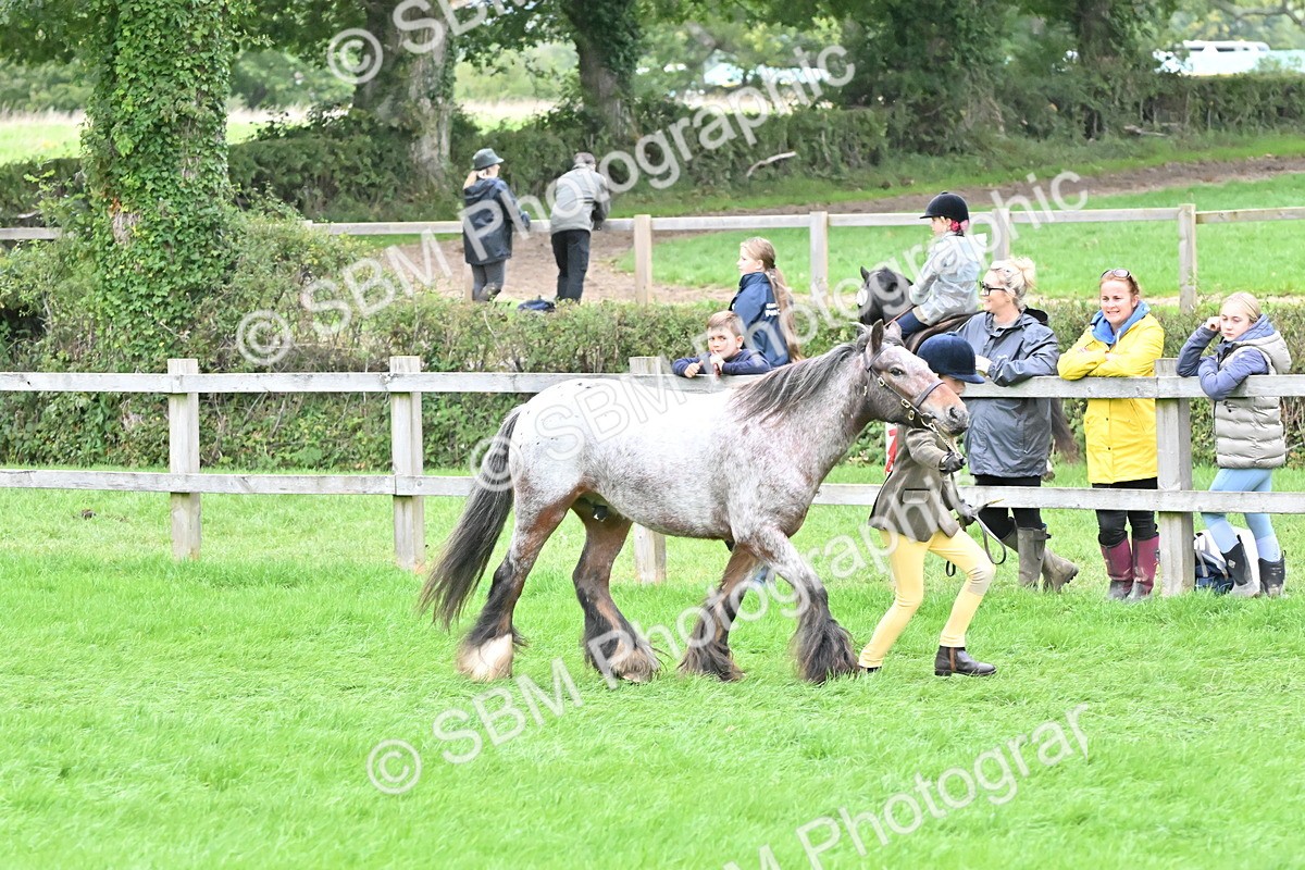 SBM_68556 - S42 - Junior Handler 9-12 Years