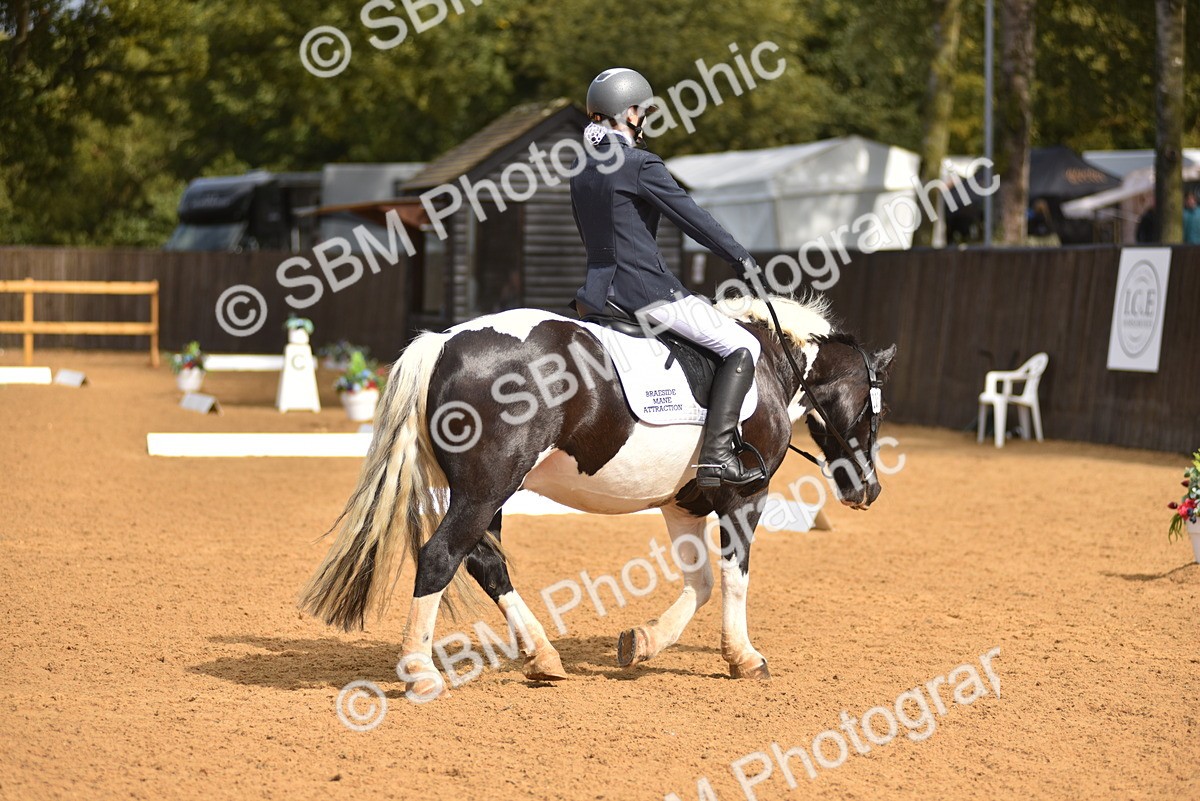 SBM_19931 - D4 - Small Tour Championship Intro 4