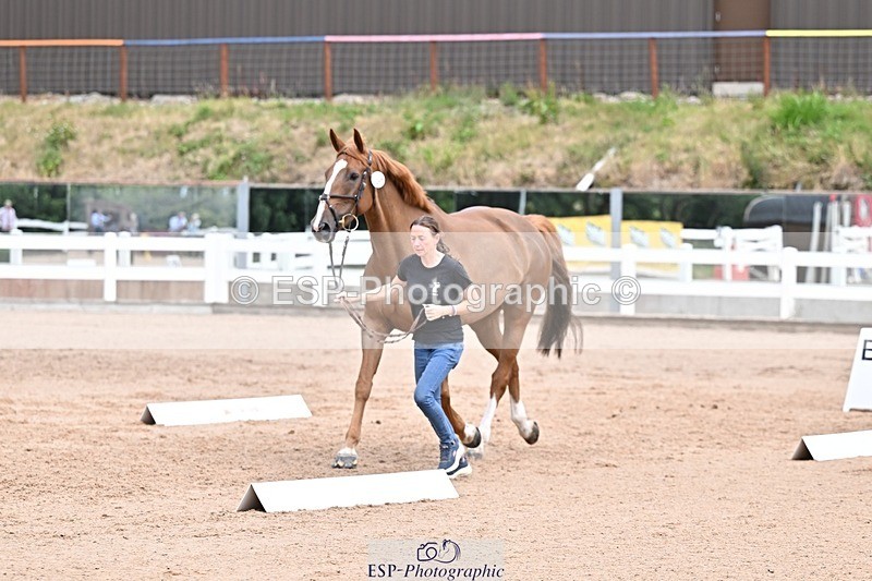 250716-134934-00676 - Trot Up 1.30 to 2.30