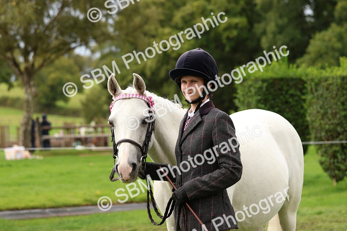 SBM_39355 - S24 - Young Veteran In Hand