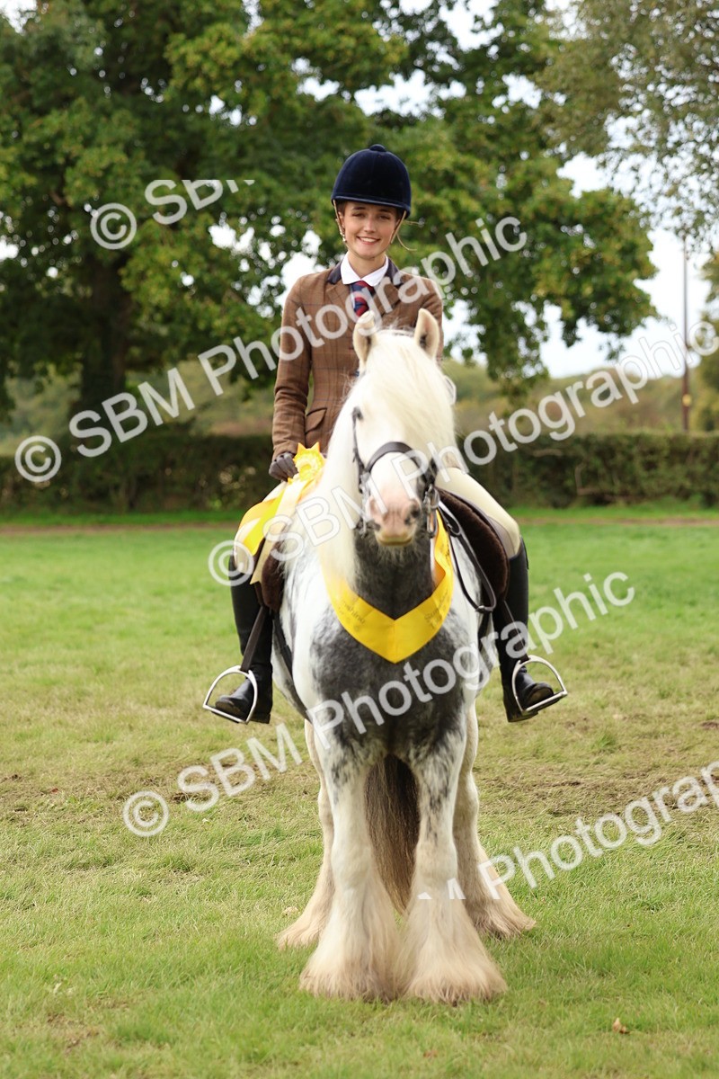 SBM_64663 - S58 - Coloured Pony Ridden