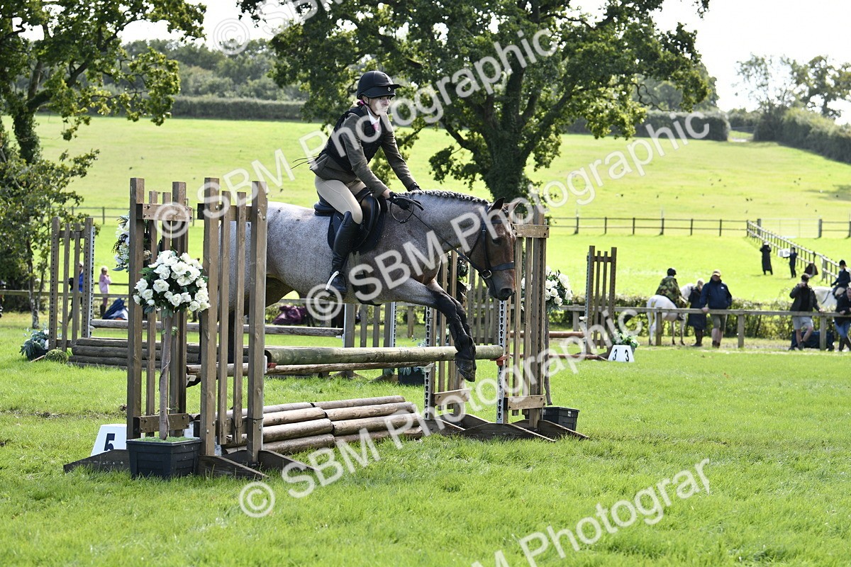 SBM_45664 - S33 - Working Hunter Pony