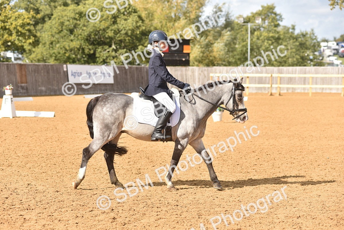 SBM_48814 - D22 - Junior Championship Intro 3
