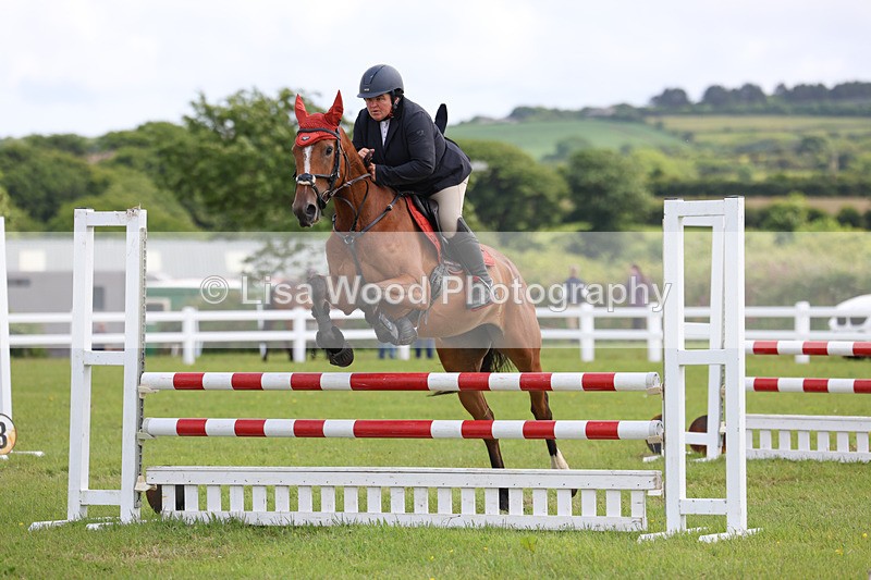 3E7A7481 - Class 13: Senior British Novice/90cm open