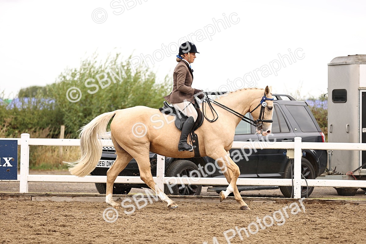 SBM_01353 - Class 54 - Riding Club Horse Pony