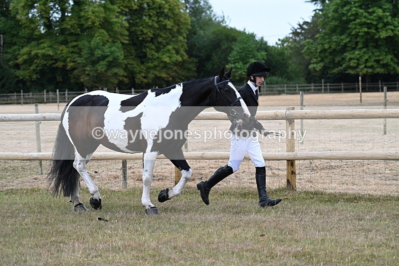 WJ7_8834 - Class 4a Prettiest Mare 14.2hh and over