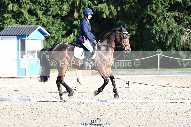 231110-132605-00943 - Cls 4 Novice 39Q