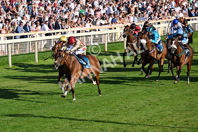 240726-Race 4-Rajaking-0419 - Race 4 19.15pm Tomahawk Handicap