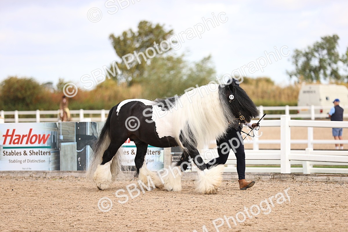 SBM_09280 - Class 404 - IH Traditional - Native Cob