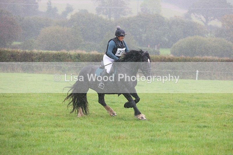 JPP_5030 - Class 1: 65cm : Showjumping