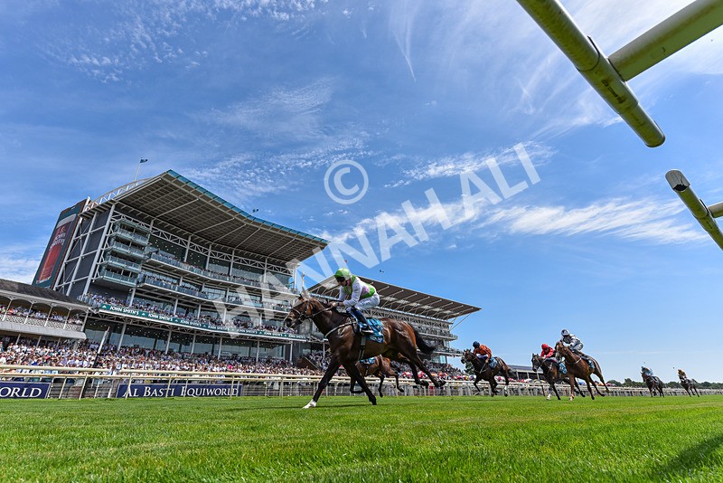 110726-Race 1-Big Cigar-2603 - Race 1 14.02pm John Smith's Nursery Handicap